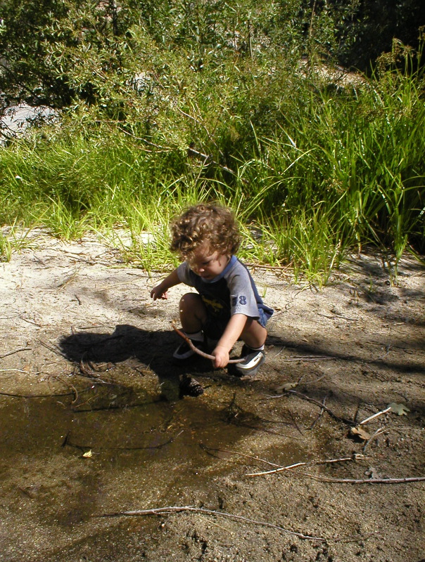 P1010006.JPG