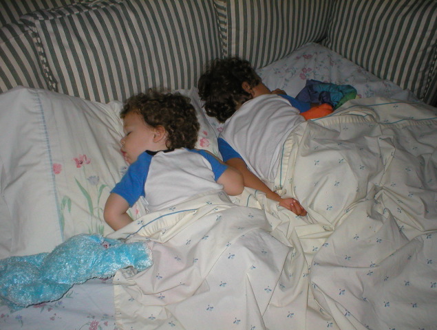 P1010044.JPG