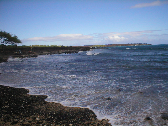 P1010308.JPG