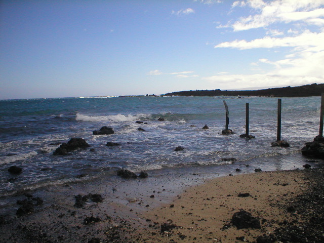P1010309.JPG
