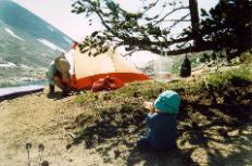 Michelle-Tent-Caj-Bottle