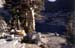 campsite