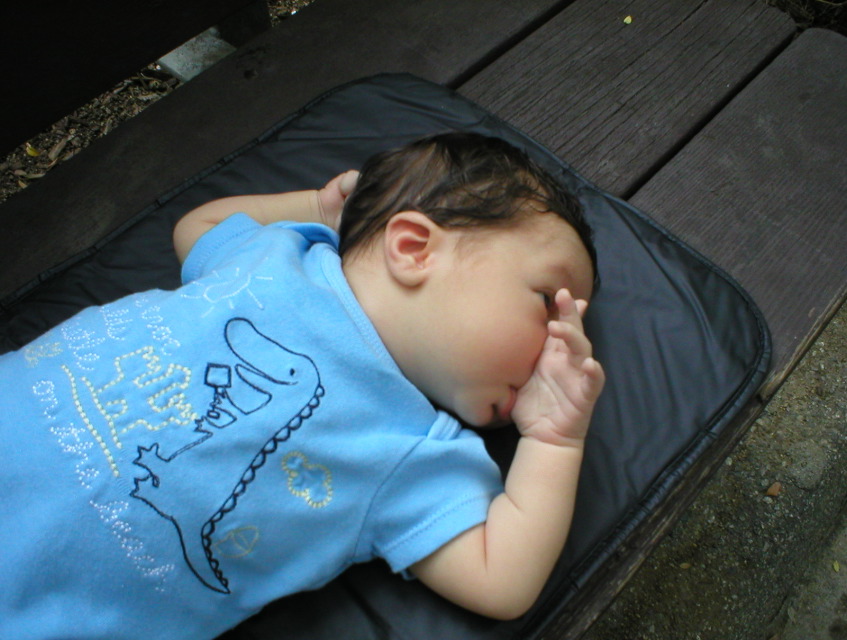 P1010028.JPG