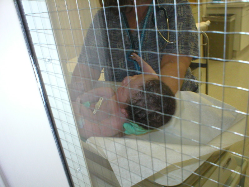 P1010093.JPG